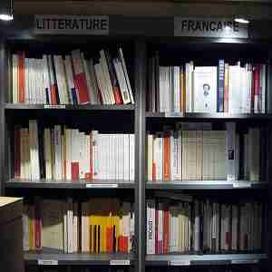 Litterature Tonalités littéraires